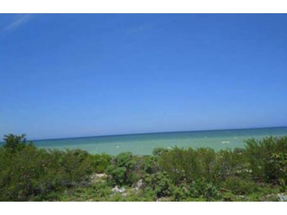 TERRENO EN VENTA FRENTE AL MAR — foto 4
