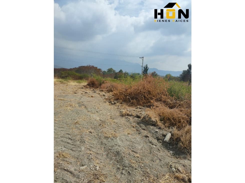 Lote Santa Marta — foto 4