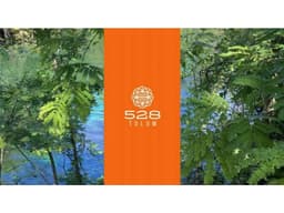 528 TULUM, LOTES RESIDENCIALES EN VENTA EN TULUM QROO
