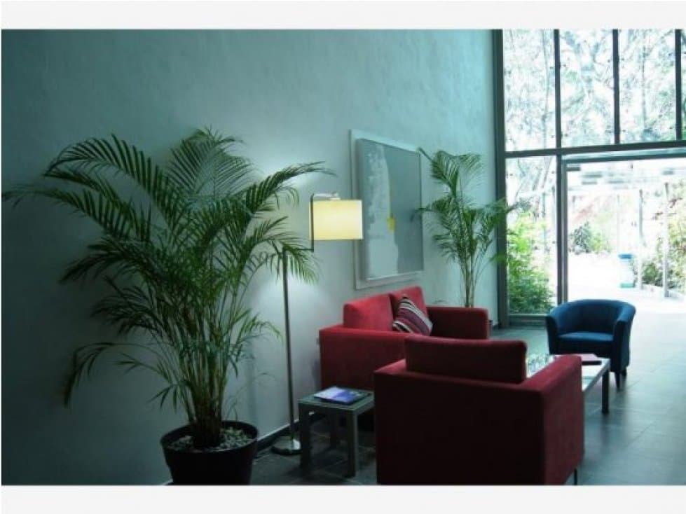 LOFT EN RENTA TRIUM TOWER — foto 6