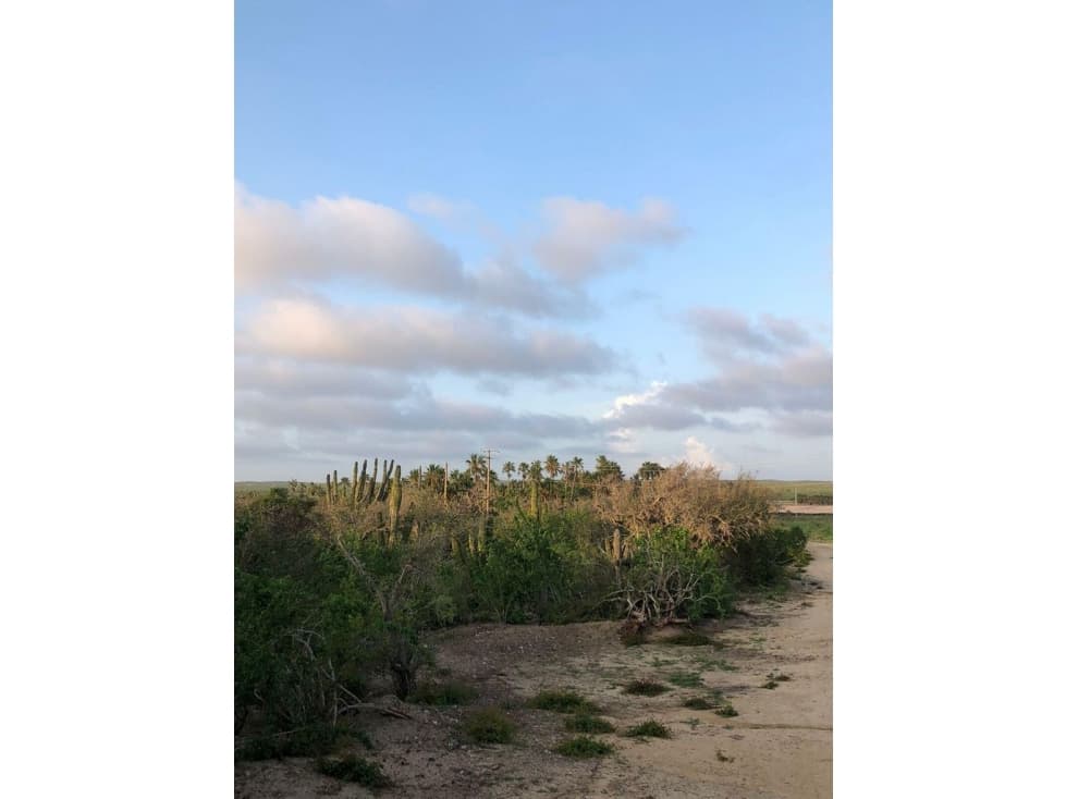 Lote cerca de Playa, al Norte de Todos Santos — foto 1