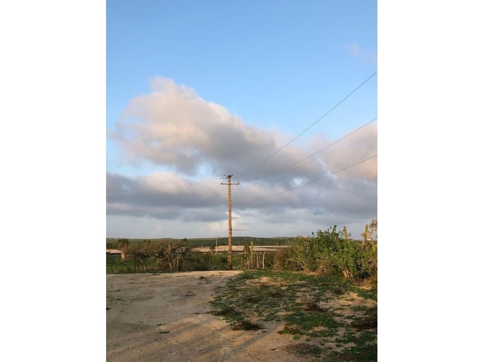 Lote cerca de Playa, al Norte de Todos Santos — foto 2