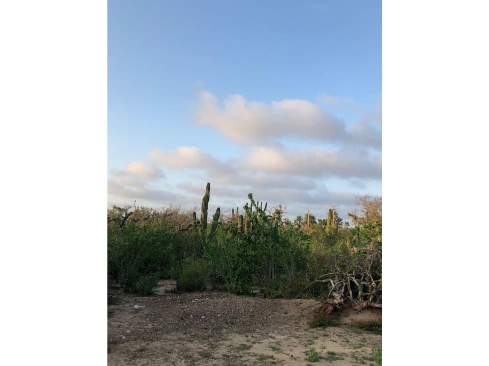 Lote cerca de Playa, al Norte de Todos Santos — foto 3
