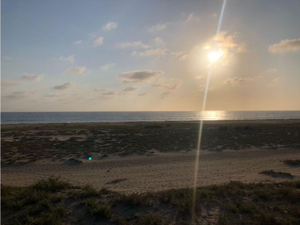 Lote cerca de Playa, al Norte de Todos Santos — foto 4