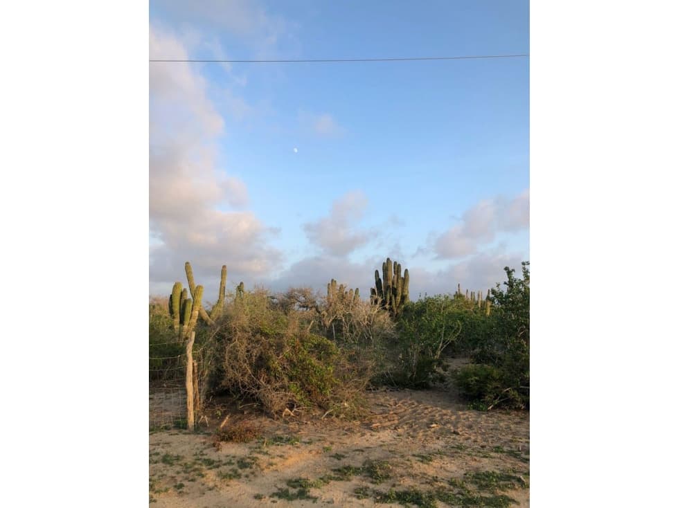 Lote cerca de Playa, al Norte de Todos Santos — foto 5