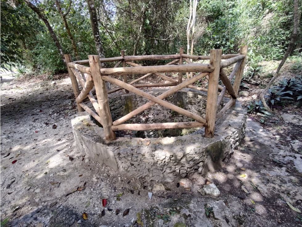Lotes ecológicos LA CEIBA, cerca de cenotes desde 323 m2 — foto 4