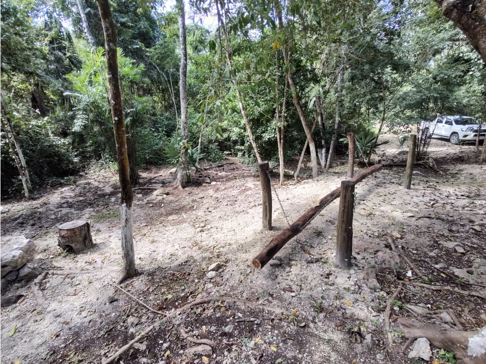 Lotes ecológicos LA CEIBA, cerca de cenotes desde 323 m2 — foto 6