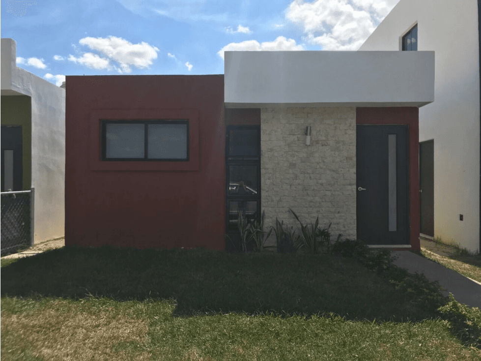 Girasoles Caucel — foto 1