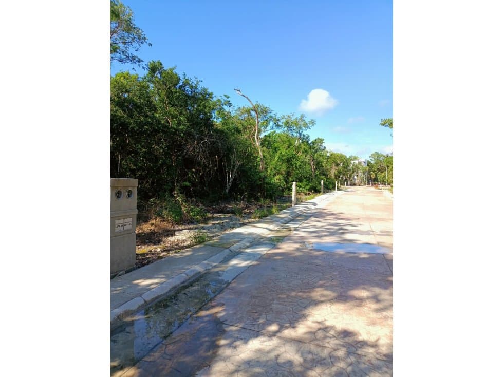 VENTA DE TERRENO PUERTO MORELOS QUINTANA ROO — foto 6