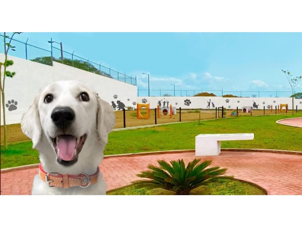 VENTA DE CASA EN FRACC LOS HEROES — foto 4