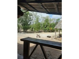 Rancho con 20 hectareas frente camino pavimentado
