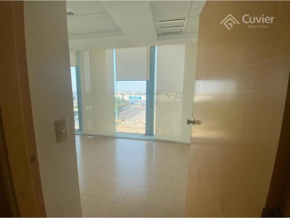 LR392-VG LOCAL EN RENTA, ZONA DORADA — foto 4