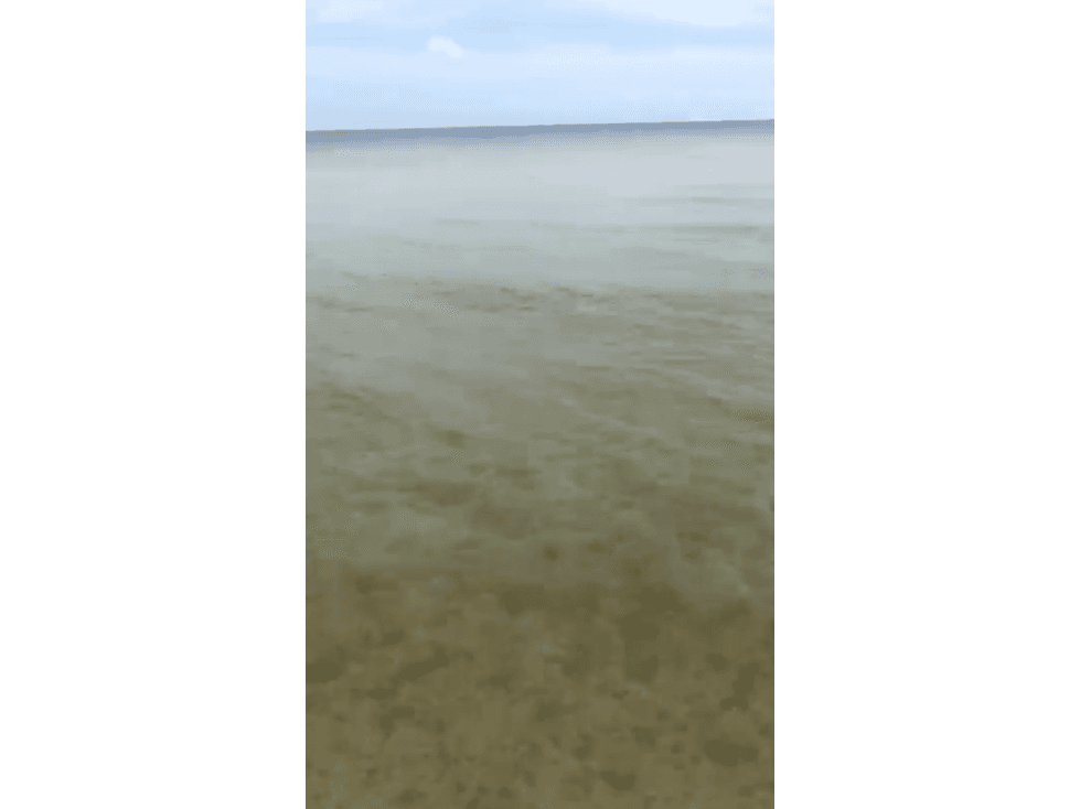 FRENTE AL MAR TELCHAC PUERTO YUCATAN — foto 5