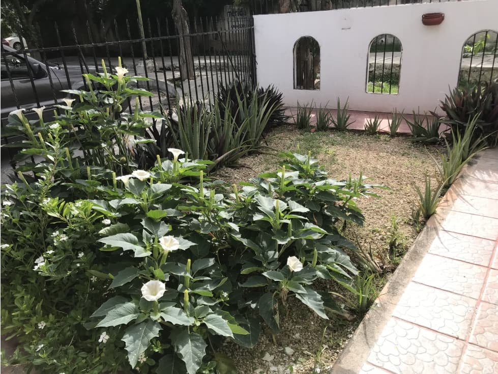Lista para mudarse Paseo de las Fuentes Merida — foto 4