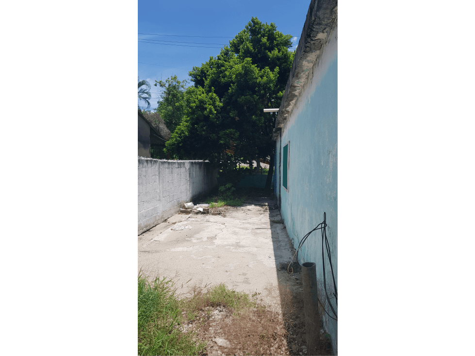 Casa en la entrada a Nueva Zelanda — foto 3