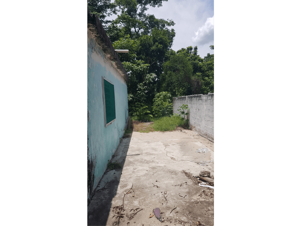 Casa en la entrada a Nueva Zelanda — foto 4