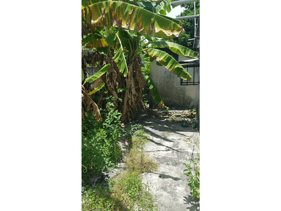 Casa en la entrada a Nueva Zelanda — foto 6
