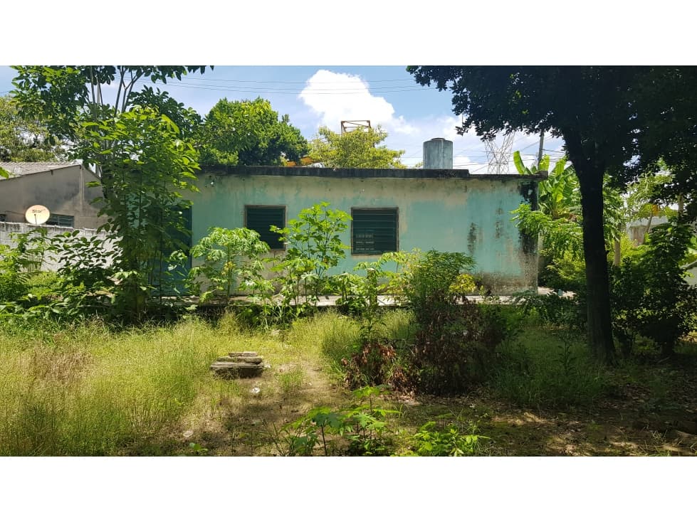 Casa en la entrada a Nueva Zelanda — foto 5