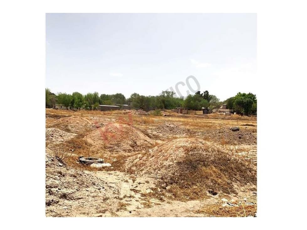 Terreno 8,000M2 en venta Col. Sauzal — foto 3