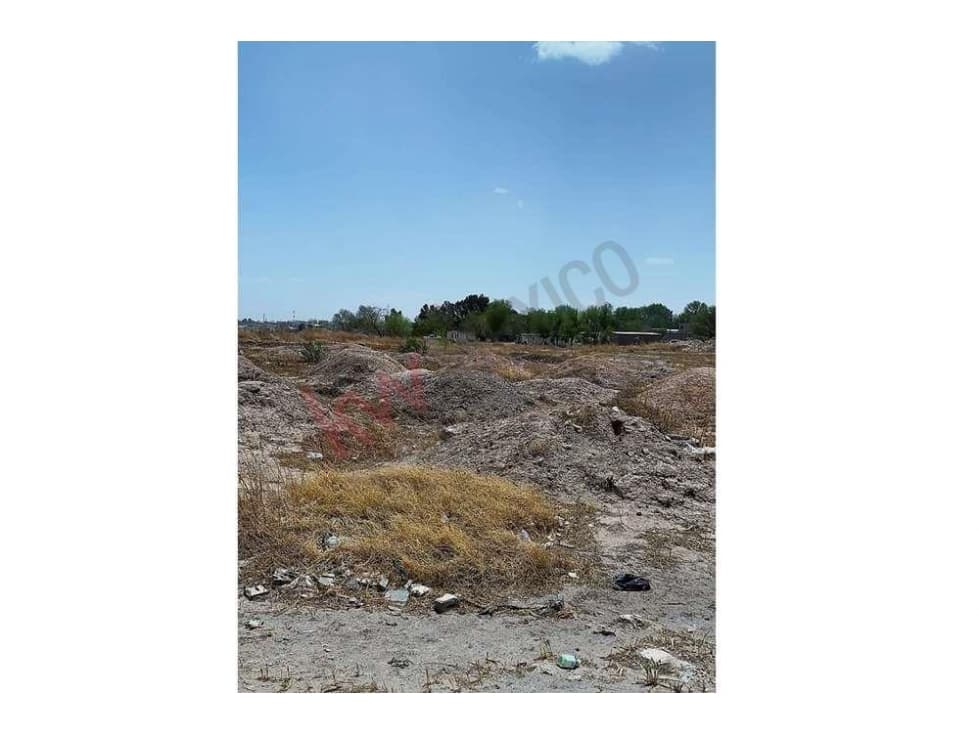 Terreno 8,000M2 en venta Col. Sauzal — foto 6