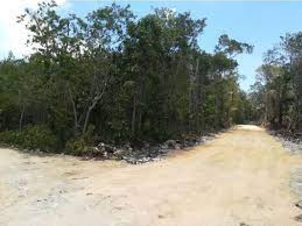 Terreno — foto 3