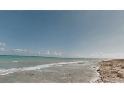 Terreno  Xamach  2000 m2 Boca Paila-Punta Allen 100x196