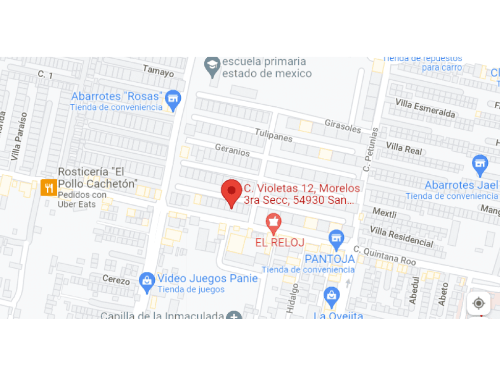 Violetas departamento — foto 3