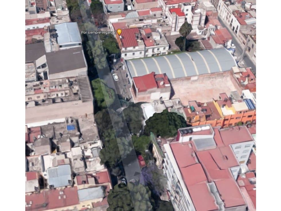 DEPARTAMENTO EN ROMA NORTE — foto 6