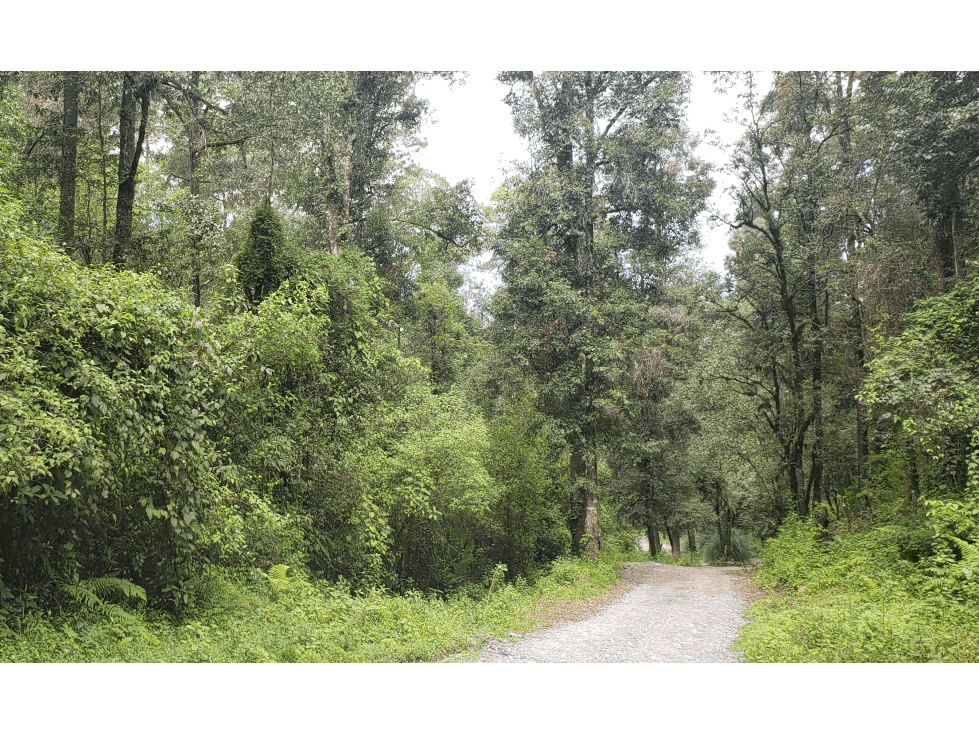 RANCHO SAN SIMÓN — foto 4