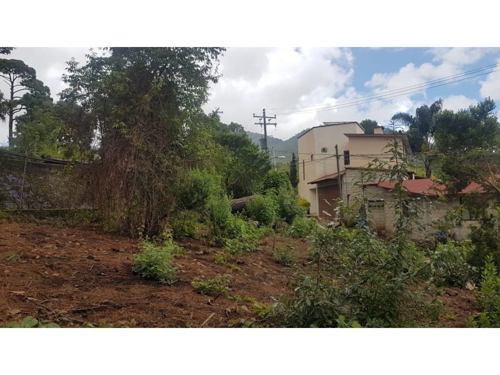 TERRENO EN CIRCUITO AVÁNDARO — foto 4