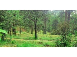 TERRENO DE OPORTUNIDAD EN CERRO COLORADO
