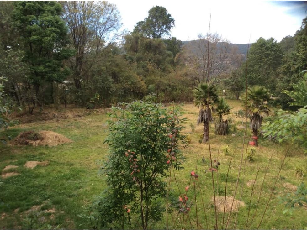 TERRENO CON ABUNDANTE AGUA — foto 2