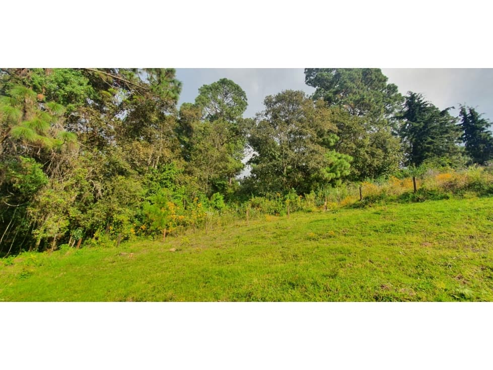 TERRENO EL CASTELLANO — foto 2
