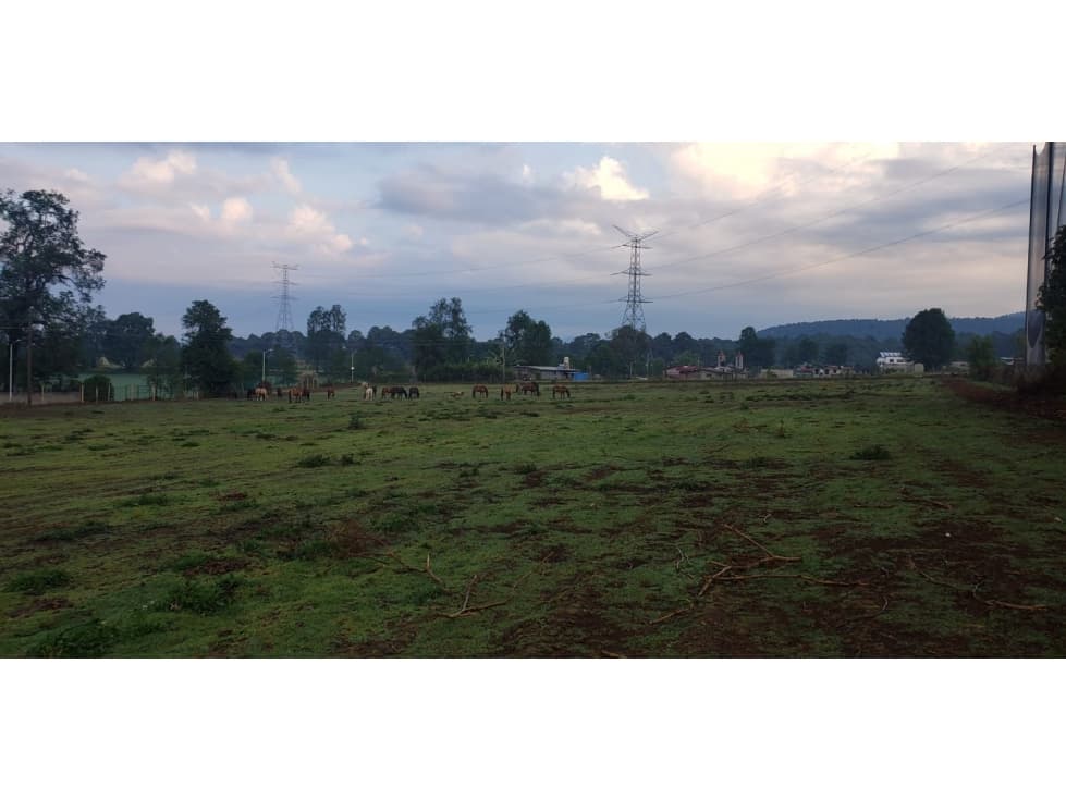 TERRENO EN SAN SIMÓN — foto 1