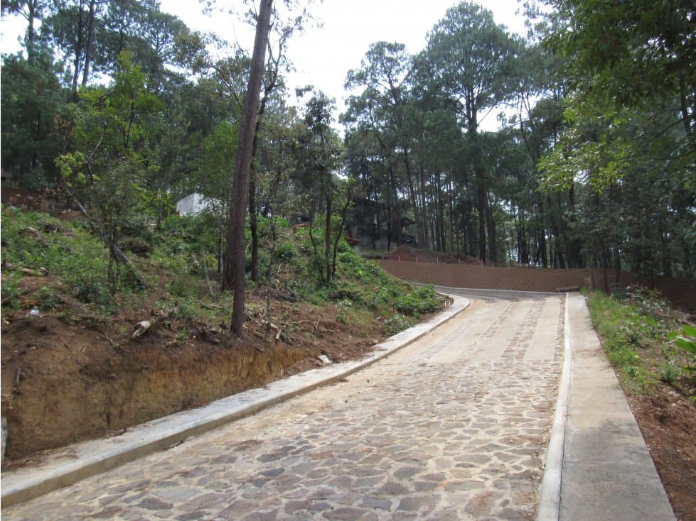 TERRENO EN CONDOMINIO AVANDARO L8 — foto 5