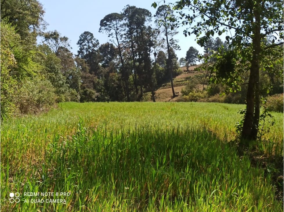 GRAN RANCHO EN REMATE — foto 1