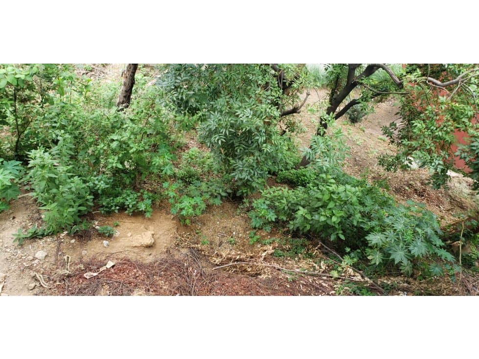 TERRENO LA COSTERA — foto 5