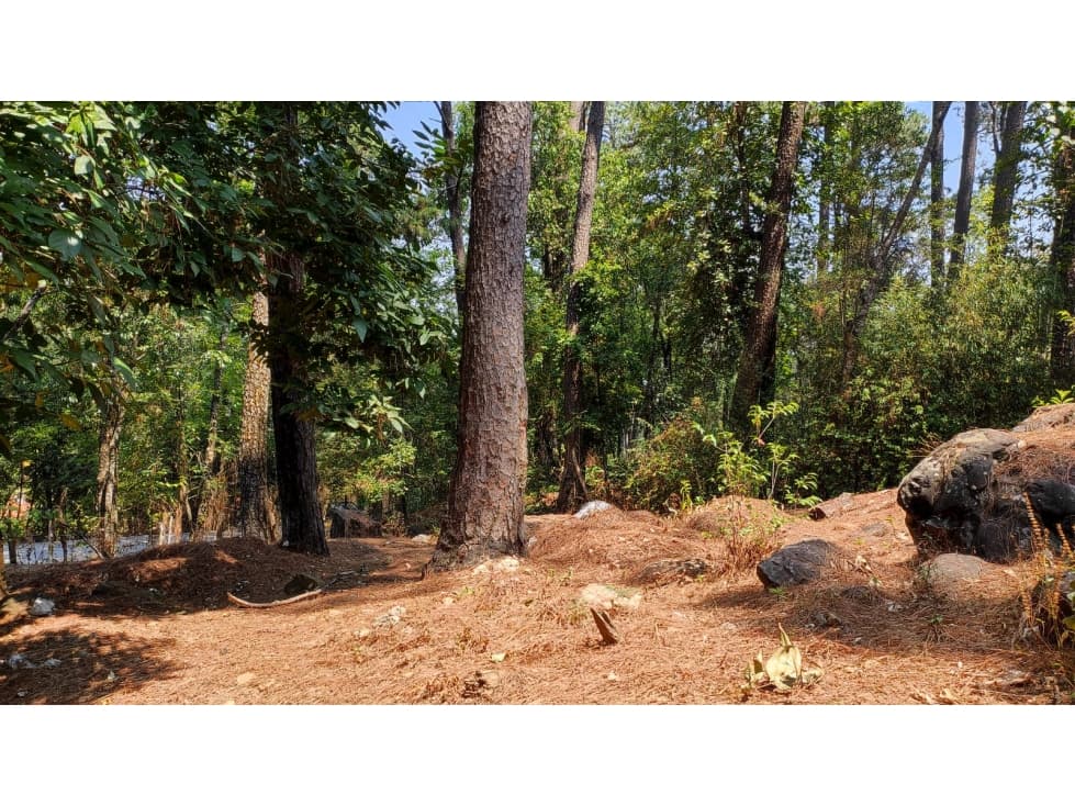 TERRENO EN AVÁNDARO — foto 6