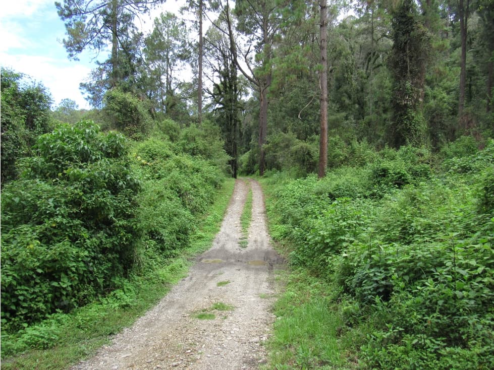 RANCHO SAN SIMÓN — foto 3