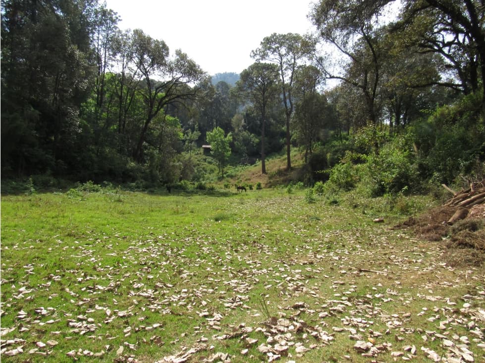 RANCHO RODEADO DE BOSQUE CON MANANTIAL — foto 1