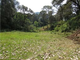 RANCHO RODEADO DE BOSQUE CON MANANTIAL