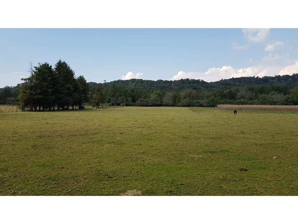 RANCHO DE 5 HTS, VALLE SANTANA — foto 3