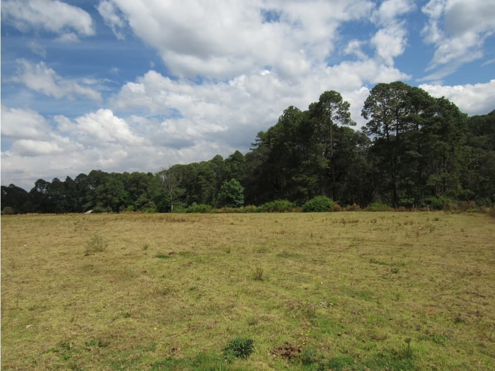 RANCHO RODEADO DE BOSQUE CON MANANTIAL — foto 3