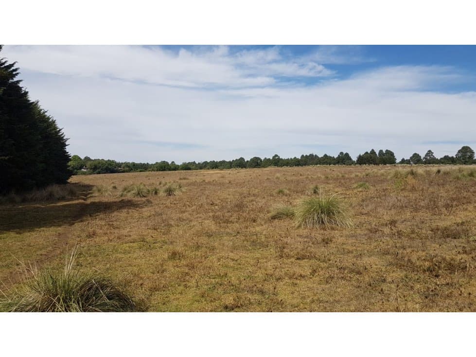 TERRENO AMPLIO RODEADO DE BOSQUE — foto 2