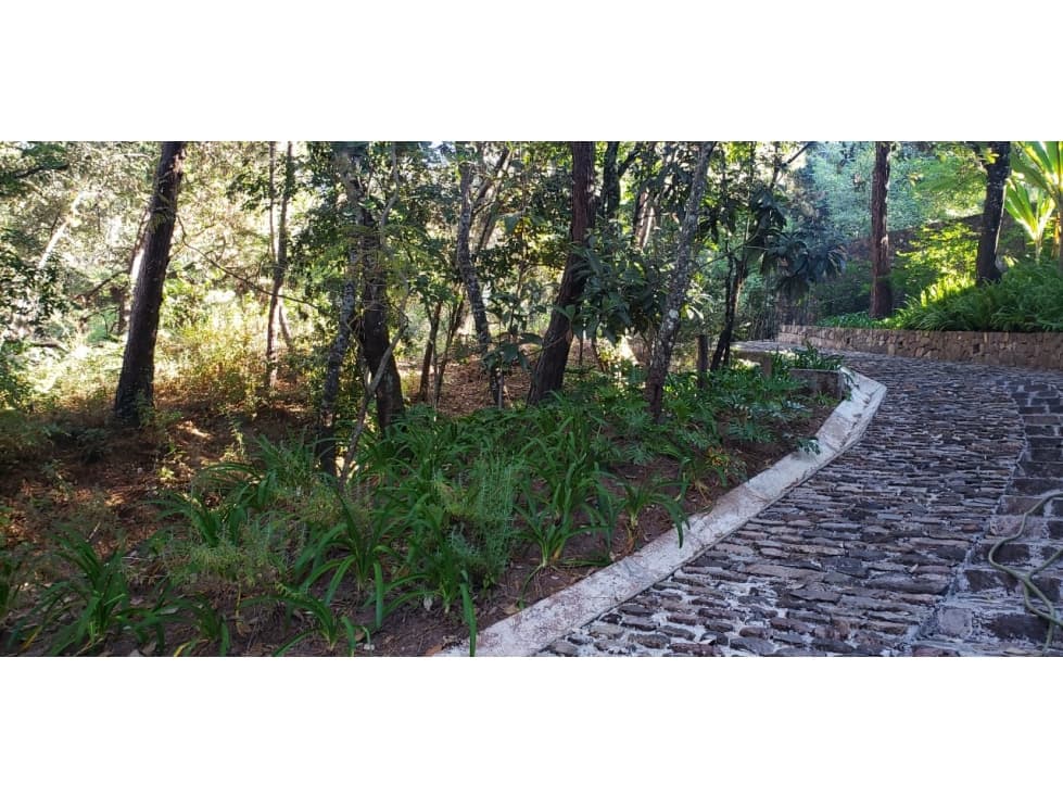 TERRENO EN MONTE ALTO — foto 4
