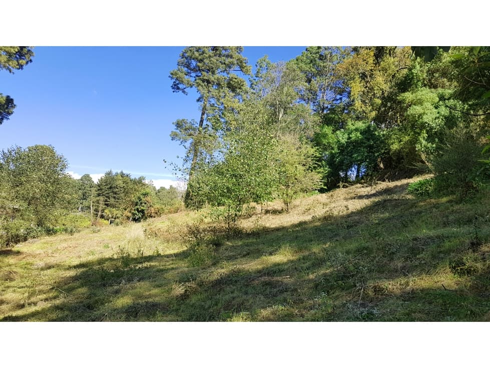 TERRENO CON BOSQUE EN VALLE DE BRAVO — foto 2
