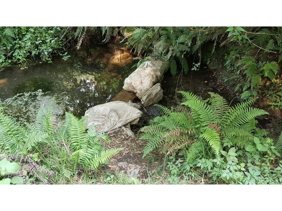 TERRENO CON MANANTIAL — foto 3