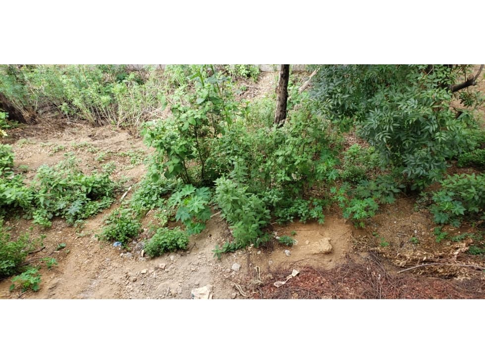 TERRENO LA COSTERA — foto 6