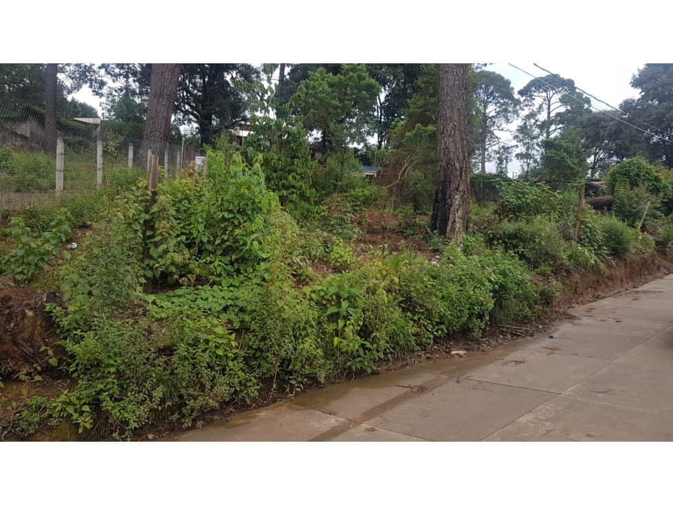 TERRENO EN CIRCUITO AVÁNDARO — foto 6