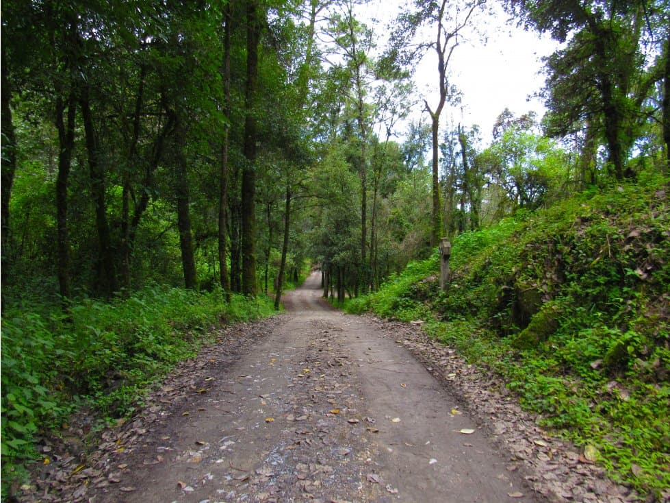 RANCHO SAN SIMÓN — foto 1